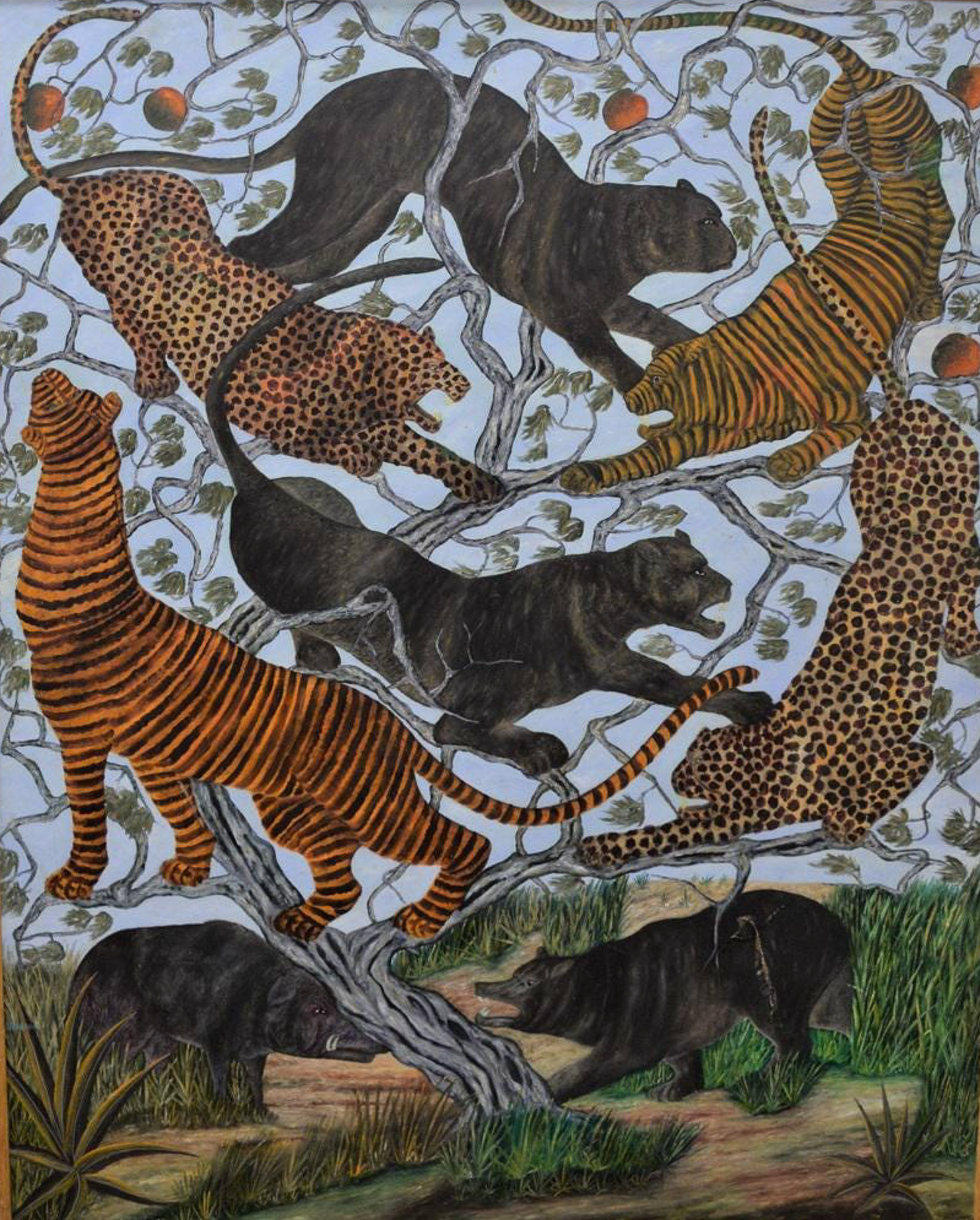 Jungle Cats, 1970
