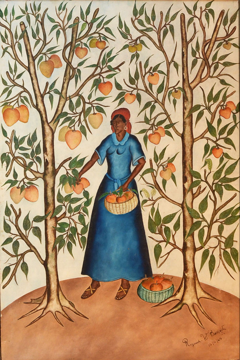Woman Picking Mangos